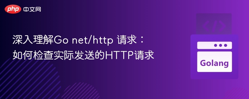 深入理解Go net/http 请求：如何检查实际发送的HTTP请求