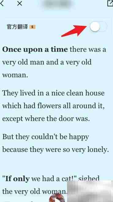 百词斩爱阅读句子翻译技巧