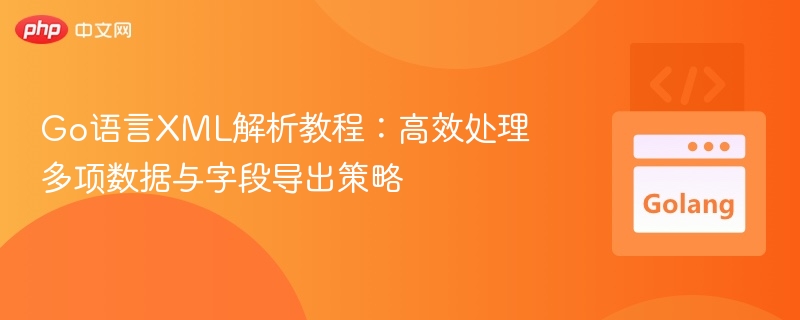 Go语言XML解析技巧：高效处理数据与字段导出方法