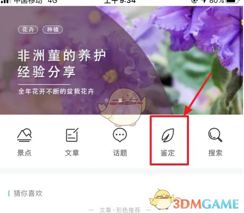 《形色》发布鉴定方法