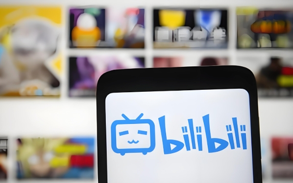 B站大会员手机充值官网入口