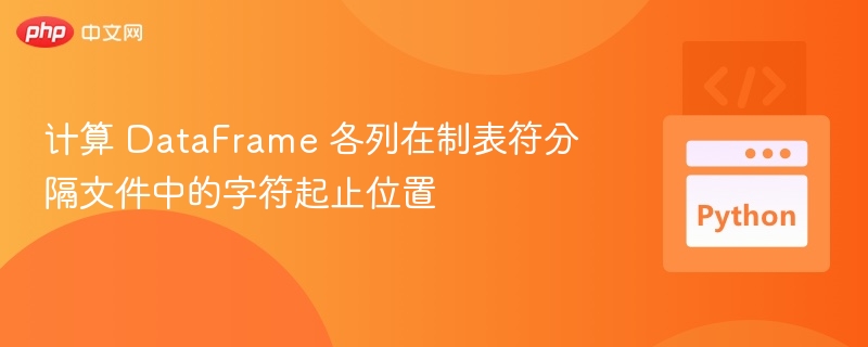 DataFrame列字符位置计算方法