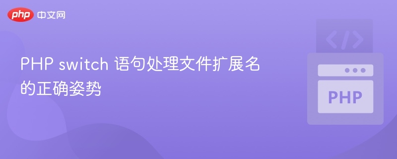 PHP switch 语句处理文件扩展名的正确姿势