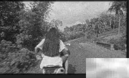 Premier修复老照片