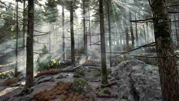 双十二装备升级指南:华硕RTX50系显卡选购攻略