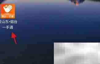 烟台一手通查重名方法