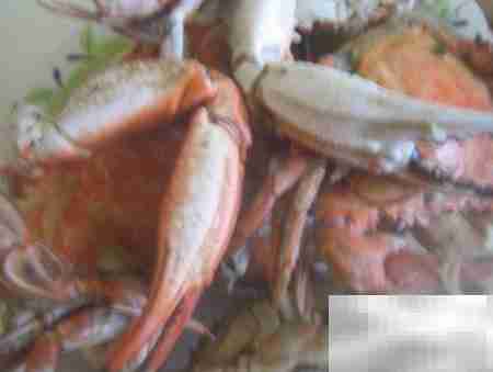 河蟹食用安全判断方法