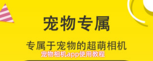 宠物相机app使用教程