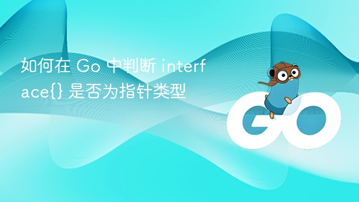 如何在 Go 中判断 interface{} 是否为指针类型
