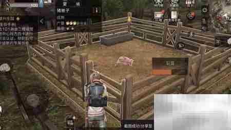 明日之后牲畜饲养指南