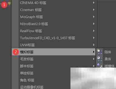 C4D布料曲面与标签区别解析