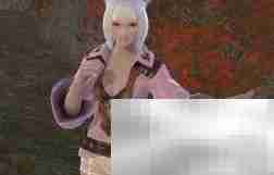 FF14 TTS语音设置教程