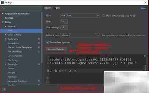 PyCharm字体设置指南