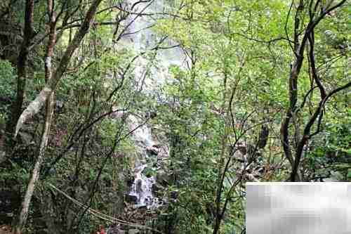 平和灵通岩一日游