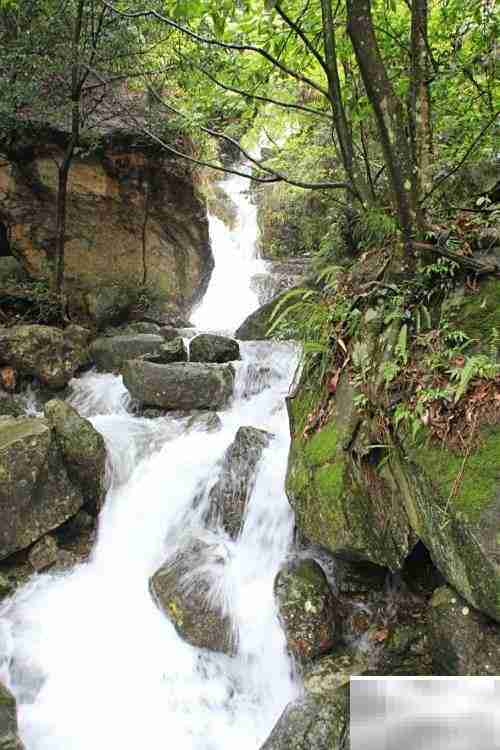 平和灵通岩一日游