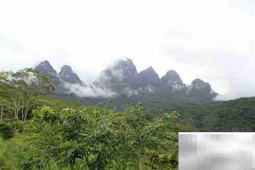 平和灵通岩一日游