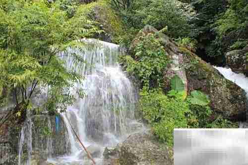 平和灵通岩一日游