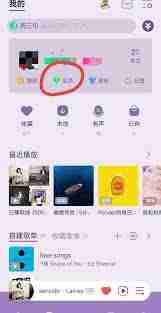 电脑版QQ音乐如何查配额