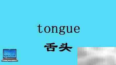 头部常用英语词汇