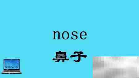 头部常用英语词汇