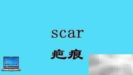 头部常用英语词汇