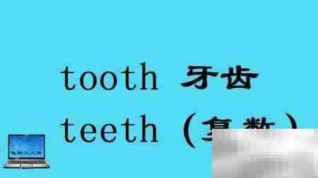 头部常用英语词汇