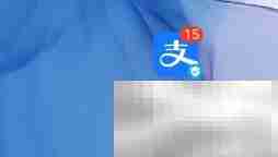 支付宝会员积分用途解析