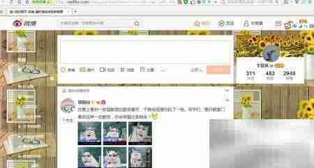 解决alissologin插件加载失败