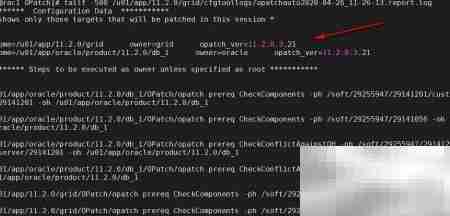 Oracle集群补丁步骤详解