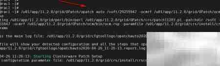 Oracle集群补丁步骤详解