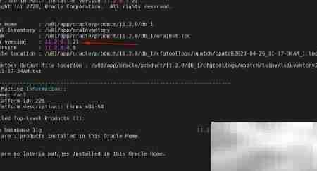 Oracle集群补丁步骤详解