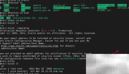 Oracle集群补丁步骤详解