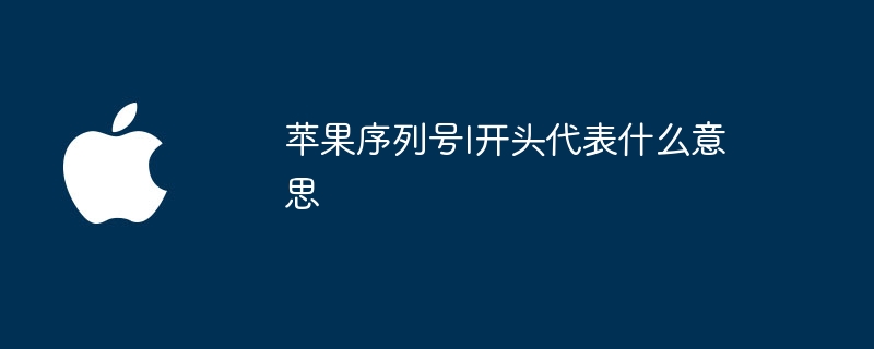 苹果序列号L开头是什么意思?