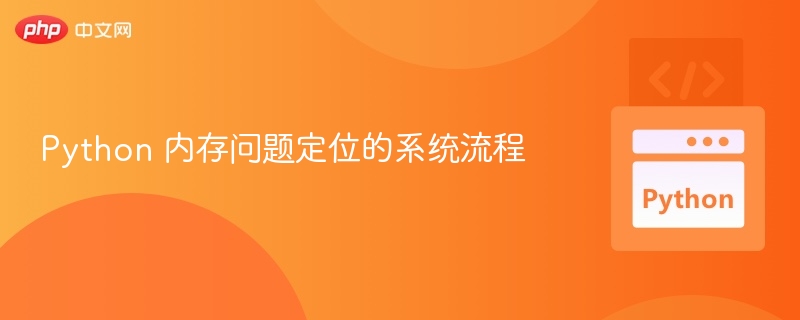 Python 内存问题定位的系统流程
