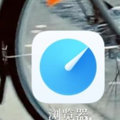 vivo浏览器怎么设置简洁版 vivo浏览器改成极简主页方法介绍