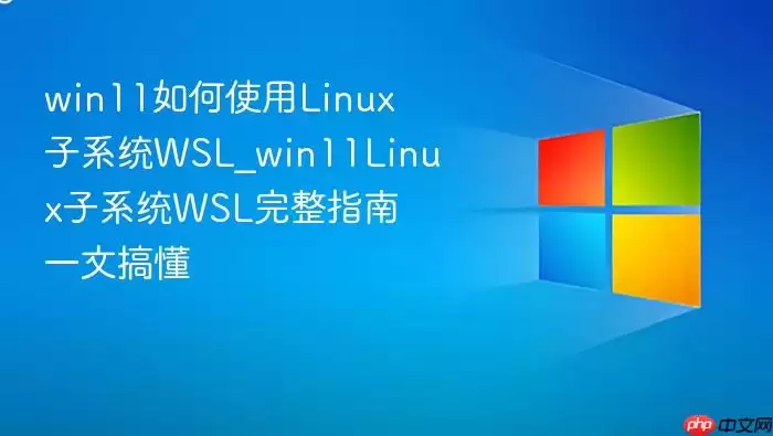 win11如何使用linux子系统wsl_win11linux子系统wsl完整指南一文搞懂