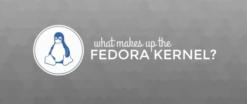 Fedora内核构成成分是什么?
