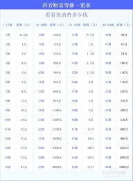 抖音28级升到29级需要刷多少金额
