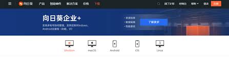 什么是远程控制软件