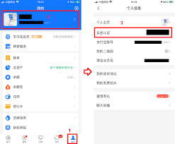 如何填写支付宝密码步骤