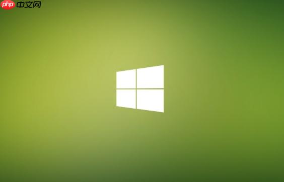 Win11怎么开启文件资源管理器的分栏显示_Windows11查看选项个性