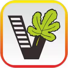 我要自学网如何查看数据处理