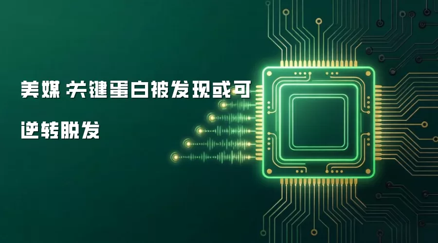 美媒：关键蛋白被发现或可逆转脱发