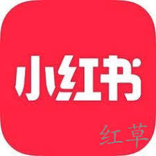 小红书的猜你想搜功能怎么关闭