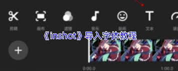 inshot如何恢复默认字体