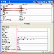 如何将access数据库姓名字段设置为必填字段