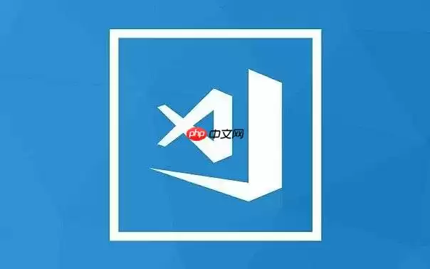 VSCode插件离线升级_手动更新VSIX插件的正确姿势