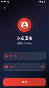 坚果视频app如何设置中文字幕