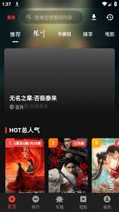 坚果视频app如何设置中文字幕