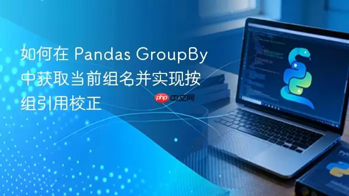 如何在 Pandas GroupBy 中获取当前组名并实现按组引用校正
